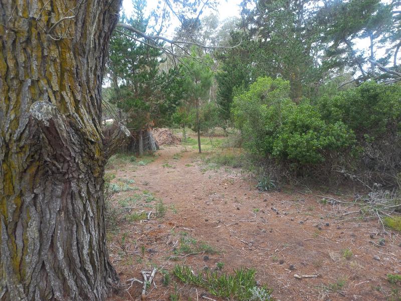 2 Bedroom Property for Sale in Wilderness Western Cape